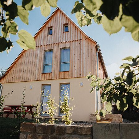 Ferienhaus Am Hoernchen Glashutte  Exteriör bild